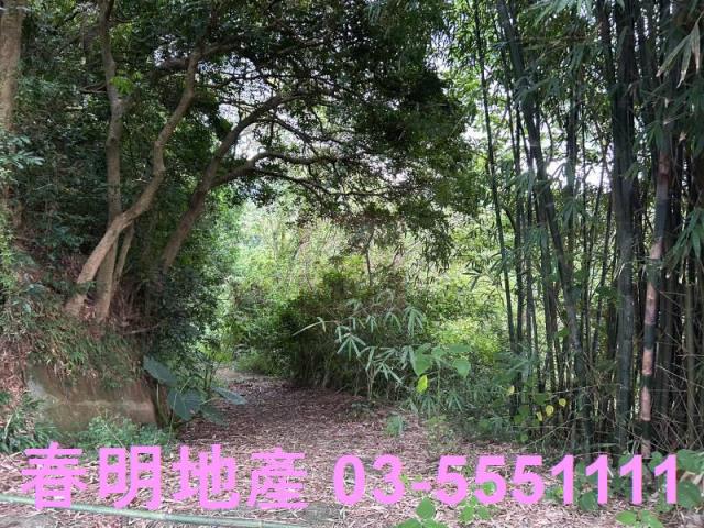 新竹峨眉農地-2