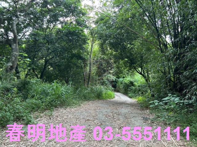 新竹峨眉農地-3