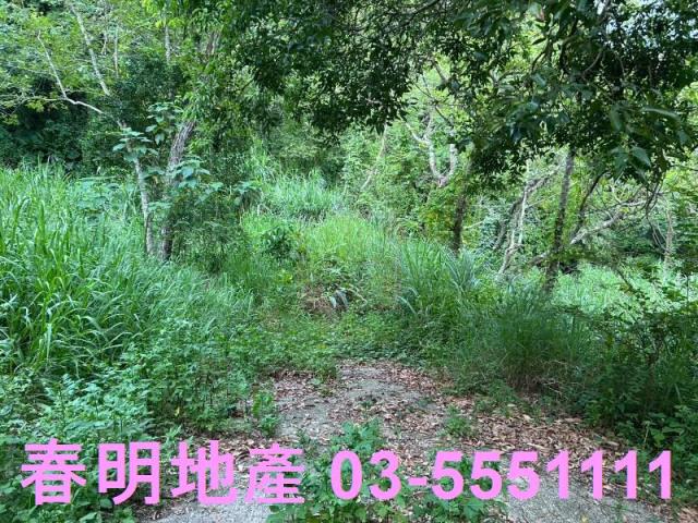 新竹峨眉農地-5