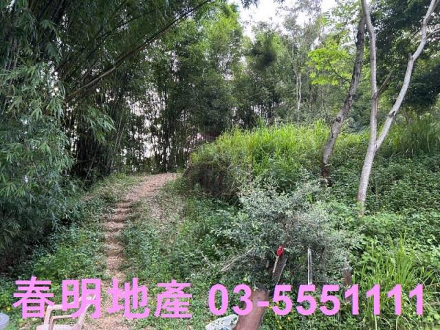 新竹峨眉農地-9