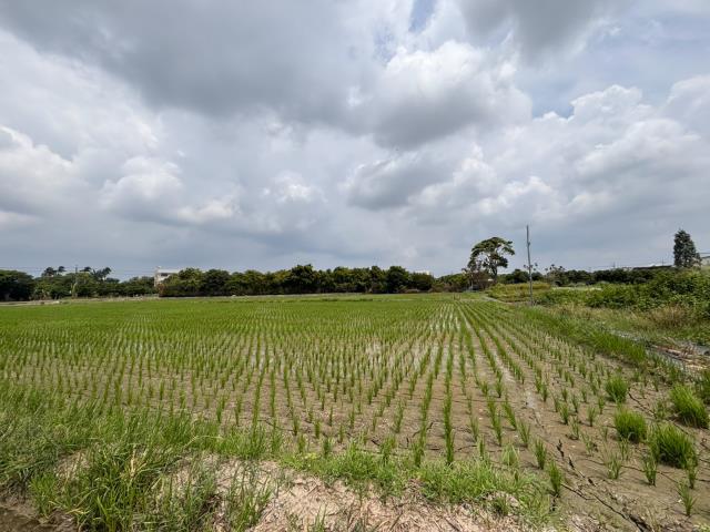 台中神岡農地-1