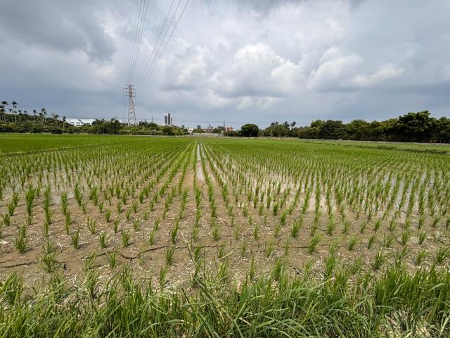 台中神岡農地-2