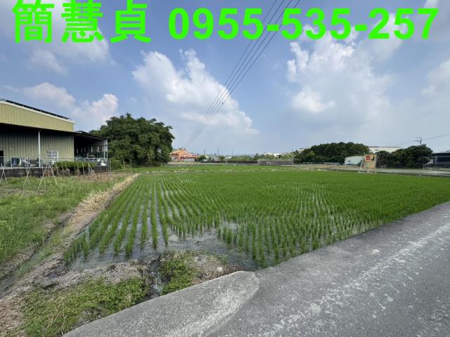 草屯農地-4