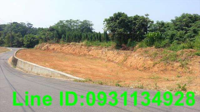 后里農地-5