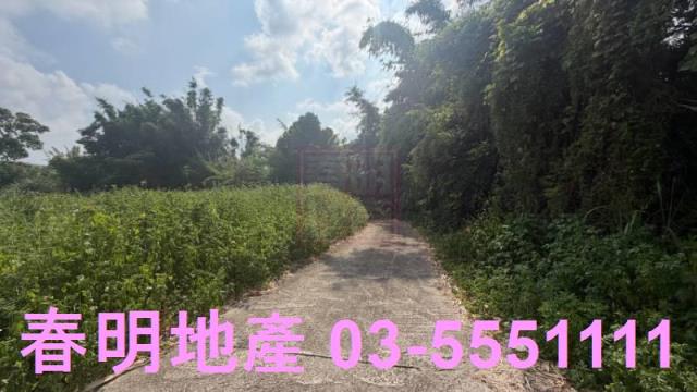 新埔農地-10