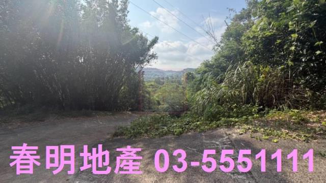 新埔農地-3