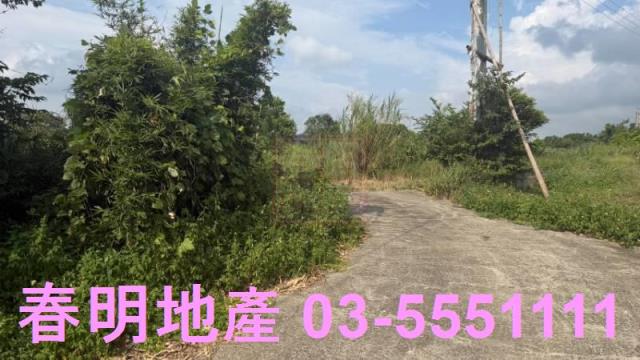 新埔農地-4