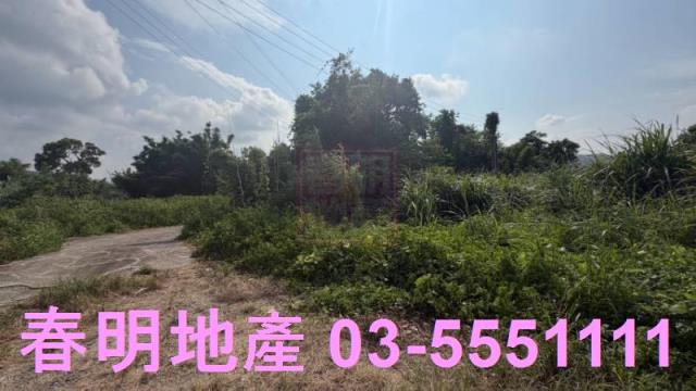 新埔農地-6