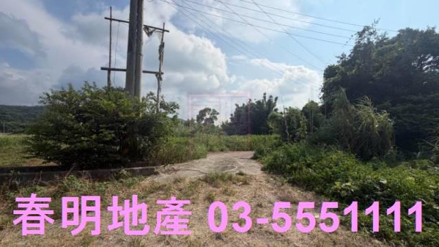新埔農地-7