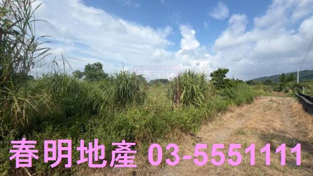 新埔農地-8