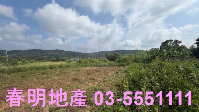 新埔農地-9