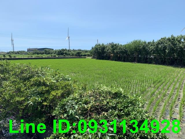 苑裡農地-1