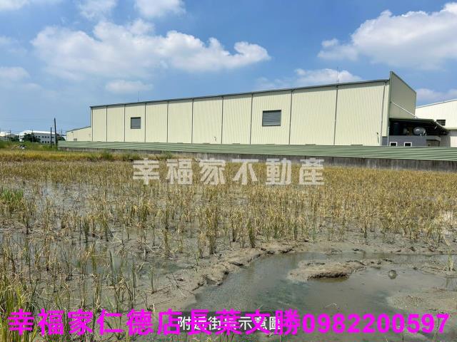 仁德農地-10