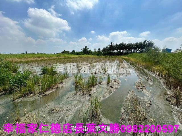 仁德農地-6