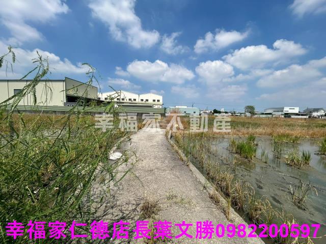 仁德農地-8