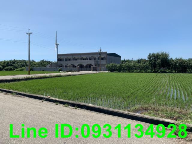 苑裡農地-1
