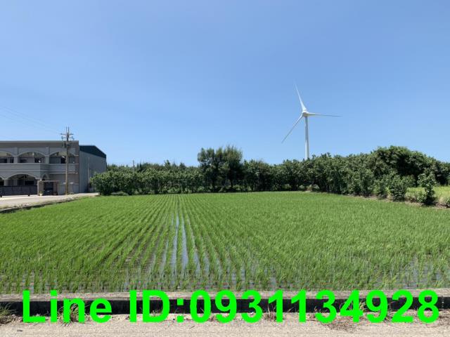 苑裡農地-3