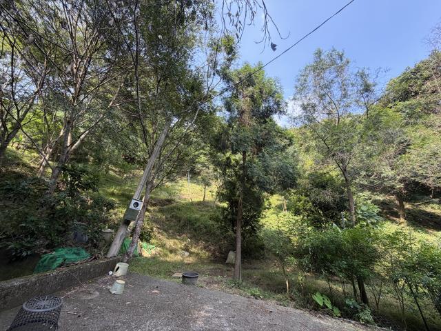 太平山坡地-12