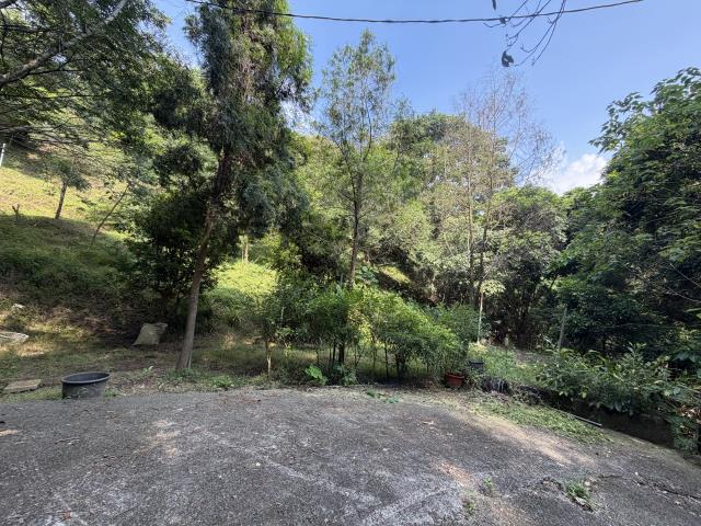 太平山坡地-4