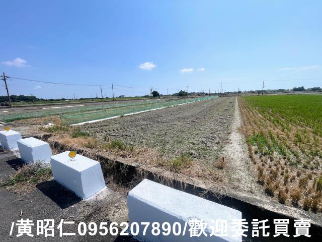 台南農地-7