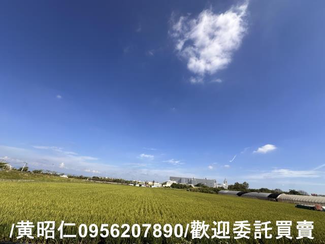 台南農地-4