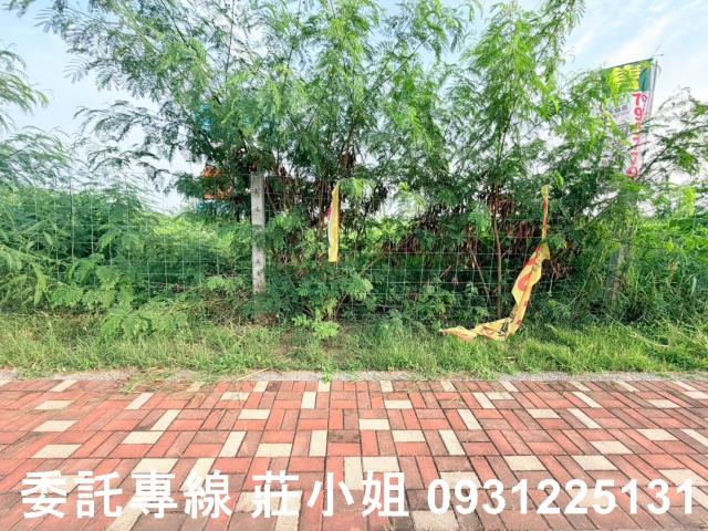 台南麻豆工業地-10