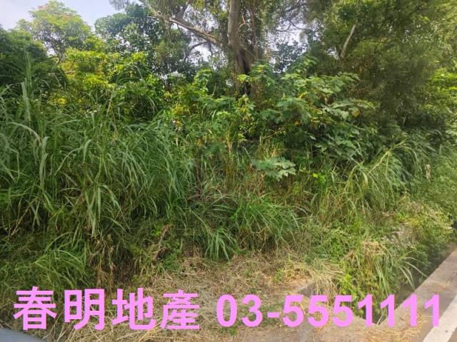 新竹竹東農地-6