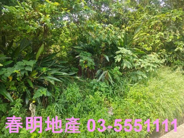 新竹竹東農地-7
