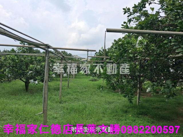 台南麻豆農地-3