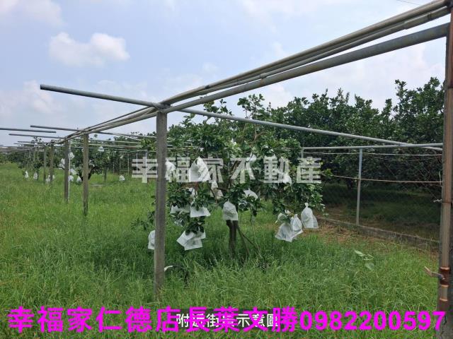 台南麻豆農地-6