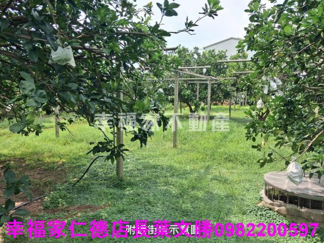台南麻豆農地-7