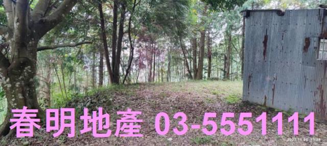 新竹林地-10