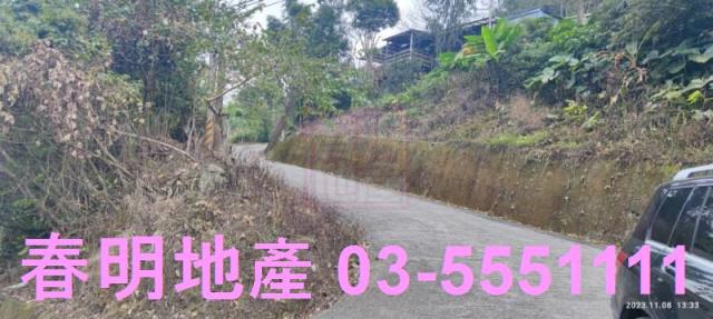 新竹林地-12