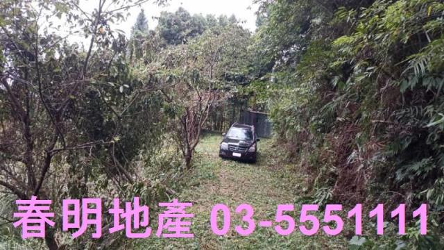 新竹林地-2