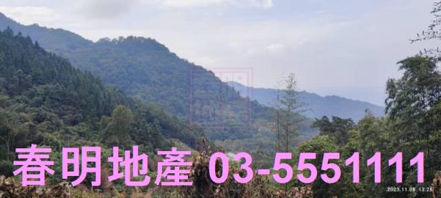 新竹林地-8