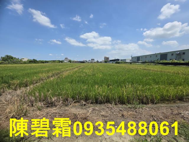 台南北區農地-5