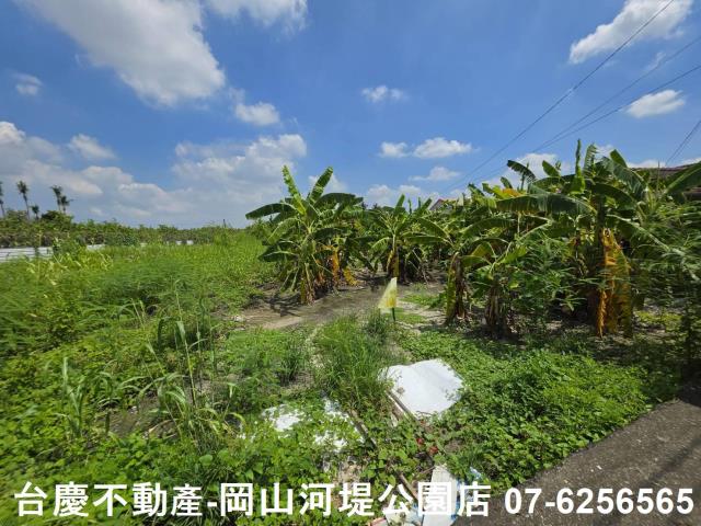 高雄阿蓮農地-3