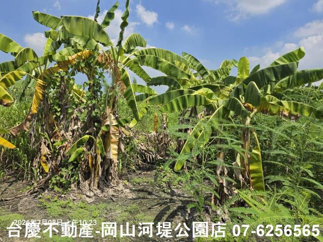 高雄阿蓮農地-6