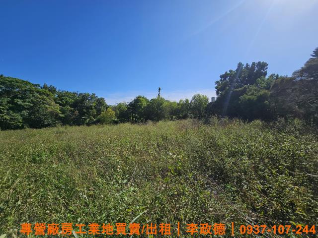 湖口農地-1