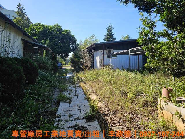 湖口農地-2