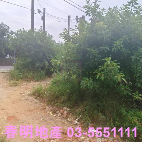 新竹農地-7