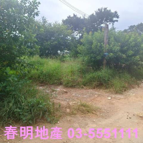 新竹農地-8