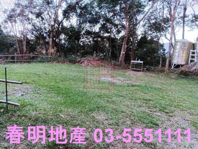 新竹尖石林地-10