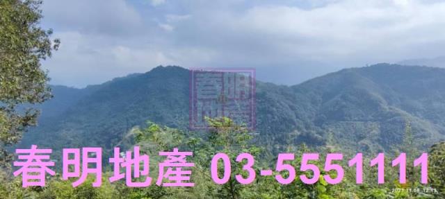 新竹尖石林地-8