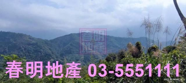 新竹尖石林地-9