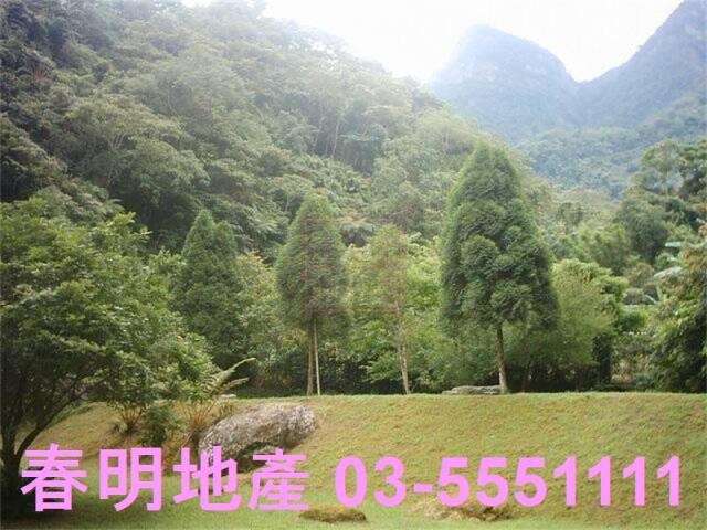 竹東農地-1