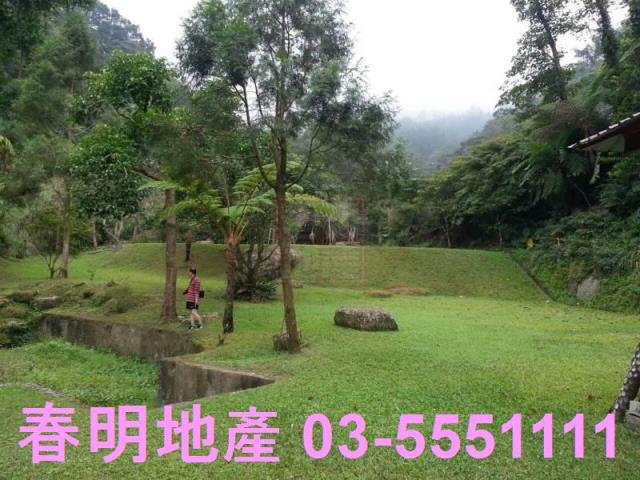 竹東農地-4