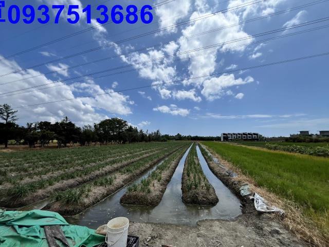 宜蘭農地-4