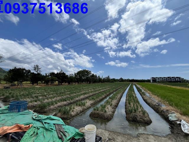 宜蘭農地-5