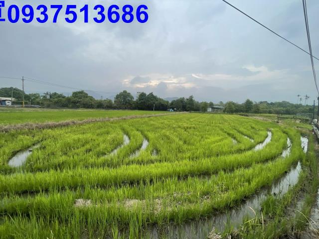 宜蘭農地-11